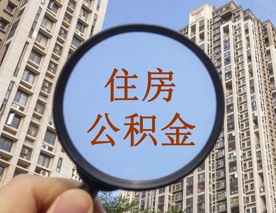 荣成退休后查不到公积金明细了吗（退休后公积金查询不到原因）